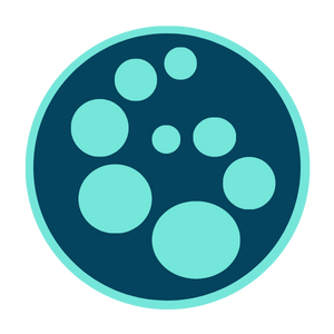 Profile photo of Developer SSE